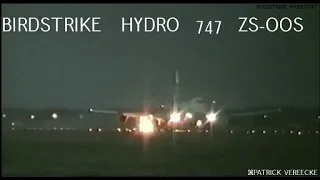 BIRDSTRIKE   HYDRO Boeing 747 , Ostend Airport