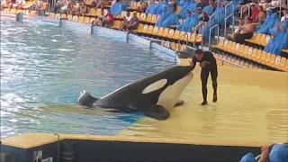 ORCA OCEAN - LORO PARQUE, TENERIFE - 20/06/2018