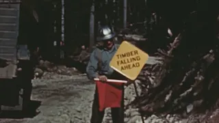 Timber Falling 1948