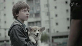 Аdvertising  Реклама Pedigree 2015   Педигри    Щенок