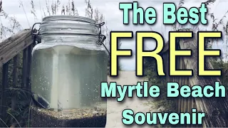 Myrtle Beach, SC Saltwater Ecosphere Experiment - Life In A Jar
