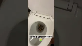 Rotten Strawberries #shorts #Toilet #wastedfood #RottenFood #FlushingToilet