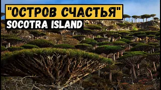 Сокотра - остров счастья. Socotra island.