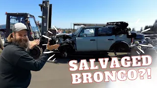 We Found a Salvaged Bronco!