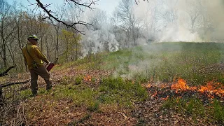 Nine Mile Prairie prescribed burn