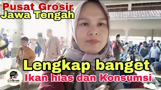 Harga ikan hias dan konsumsi disini murah banget || Pasar ikan Purwonegoro