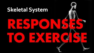 Responses to Exercise | Skeletal System 06 | Anatomy & Physiology