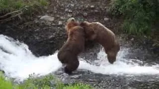 Establishing Hierarchy at Upper Mikfik Falls