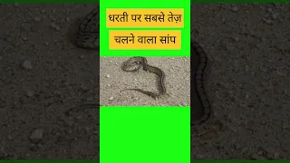 Black Mamba | Mahesh Interesting fact |