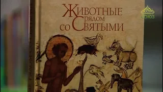 У книжной полки. Протоиерей Константин Буфеев. Животные рядом со святыми