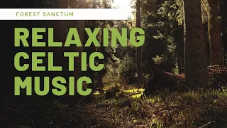 Relaxing Celtic Music  Forest Sanctum
