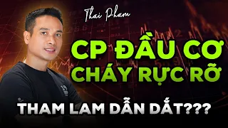 CỔ PHIẾU ĐẦU CƠ "CHÁY" RỰC RỠ, SỰ THAM LAM TIẾP TỤC DẪN DẮT TRONG TUẦN MỚI