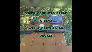 Dicas de como caçar javali sem cachorro