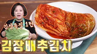 겨울 김장 1탄 배추김치!! 맛있는 김장김치 쿡피아와 함께 시작해보세요~