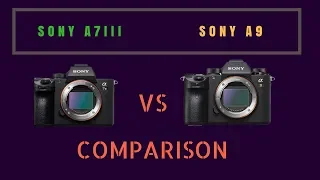 Sony A7iii vs Sony A9 full comparison