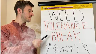 Tolerance Break Survival Guide (T BREAK TIME)