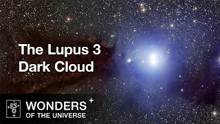 Panning across the Lupus 3 dark cloud and associated hot young stars