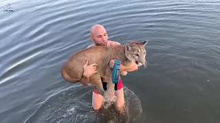 Let's go swimming! Puma Messi on the river