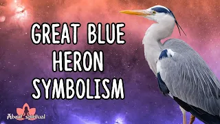 Great Blue Heron Symbolism And Meaning: Self Awareness