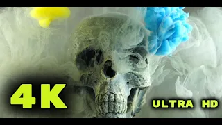 4K Dry Head Skeleton Death Horror Wonderful Concept Scary Creativity Smoke Design Colors ULTRA HD