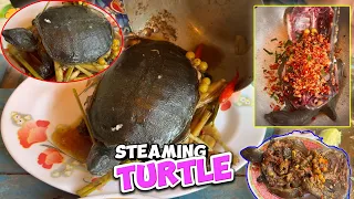 Khmer style steamed turtle Lifestyle #comfortfood #food #cooking