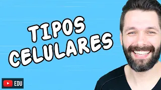 TIPOS DE CÉLULAS (Tipos Celulares) | Biologia com Samuel Cunha