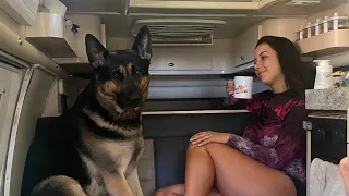 😂 | VANLIFE REAL | Carol Kunst e João Rauber