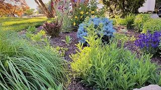 Mid June Garden Tour 2020 | Flower Garden