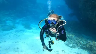 Dolphin House, Marsa Alam, Ägypten 🇪🇬, 6.11.2022