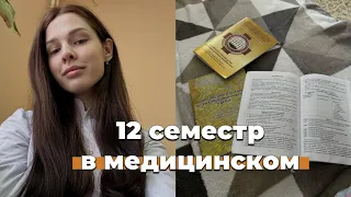 VLOG: Последний семестр учебы в меде, детские инфекции и домашняя рутина