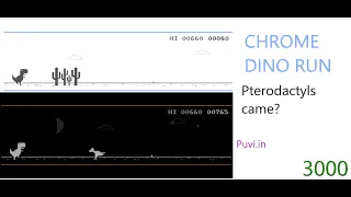 Google chrome Dino run | HI SCORE | Pterodactyls came !!!!