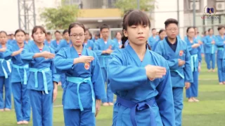 Đồng diễn Vovinam - Việt võ đạo