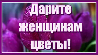 "Дарите женщинам цветы!"  Шикарная песня! Музыкальная открытка для любимой женщины. Тебе, любимая!!!