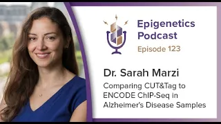 Epi Podcast #123 - Comparing CUT&Tag to ENCODE ChIP-Seq in Alzheimer's Samples with Sarah Marzi