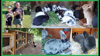 СКОЛЬКО У НАС КРОЛИКОВ?🐇🐰КРОЛИКИ🐰 ДЕРЕВНЯ⛪ГЕРМАНИЯ