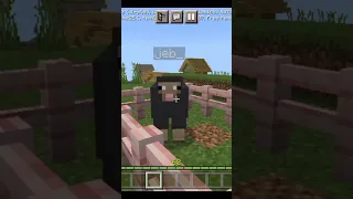 minecraft mojang logic. secert name of sheep. #viral #trendy #shortsfeed2023 #minecraft #mojang