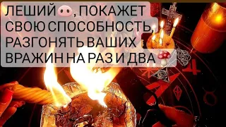 🔴1 часть/Пусть враги перегрызутся друг с другом,как животные 🐈‍⬛🐕, а от вас отстанут!