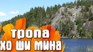 Тропа Хо Ши Мина / Кузнечное Ленинградская область