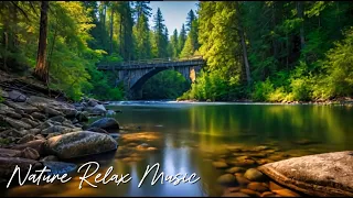 Soothing Ambient Relaxing Piano Music🎹 with the Sound of Birdsong