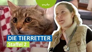 Die Tierretter - Staffel 2 | MDR