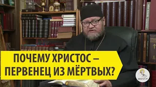 ПОЧЕМУ ХРИСТОС ПЕРВЕНЕЦ ИЗ МЕРТВЫХ? Cвященник Олег Стеняев