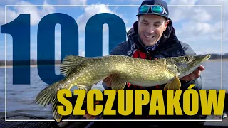 100 SZCZUPAKÓW w 1 DZIEŃ CHALLENGE | S13Ep15