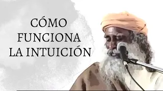 ¿Cómo funciona la intuición?