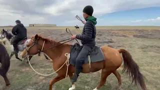 Конный поход, день пятый ( вторая ферма Октябрьский п. Юста - Эрдниевский 20км