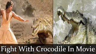 Hrithik Roshan To Fight With Crocodile In Mohenjo Daro - Bollywood Latest News