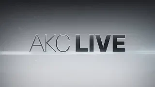 AKC LIVE - July 11, 2018