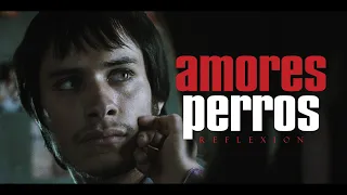 Amores Perros | Reflexión película mexicana