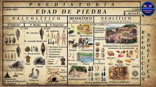 Prehistoria. La Edad de Piedra. Paleolítico, Mesolítico y Neolítico