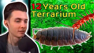 ХЕСУС СМОТРИТ: 12 Year Old Terrarium - Life Inside a closed jar, Over a decade in isolation