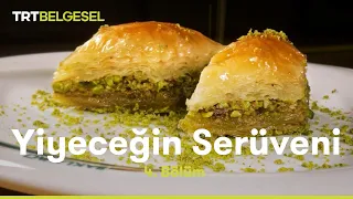 Yiyeceğin Serüveni | Baklava, Fıstık Sarma, Şöbiyet & Çiğ Köfte | TRT Belgesel